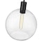 Z-Lite Margo 1 Light Pendant, Matte Black And Clear Seedy 7501P14-MB - alternate 3